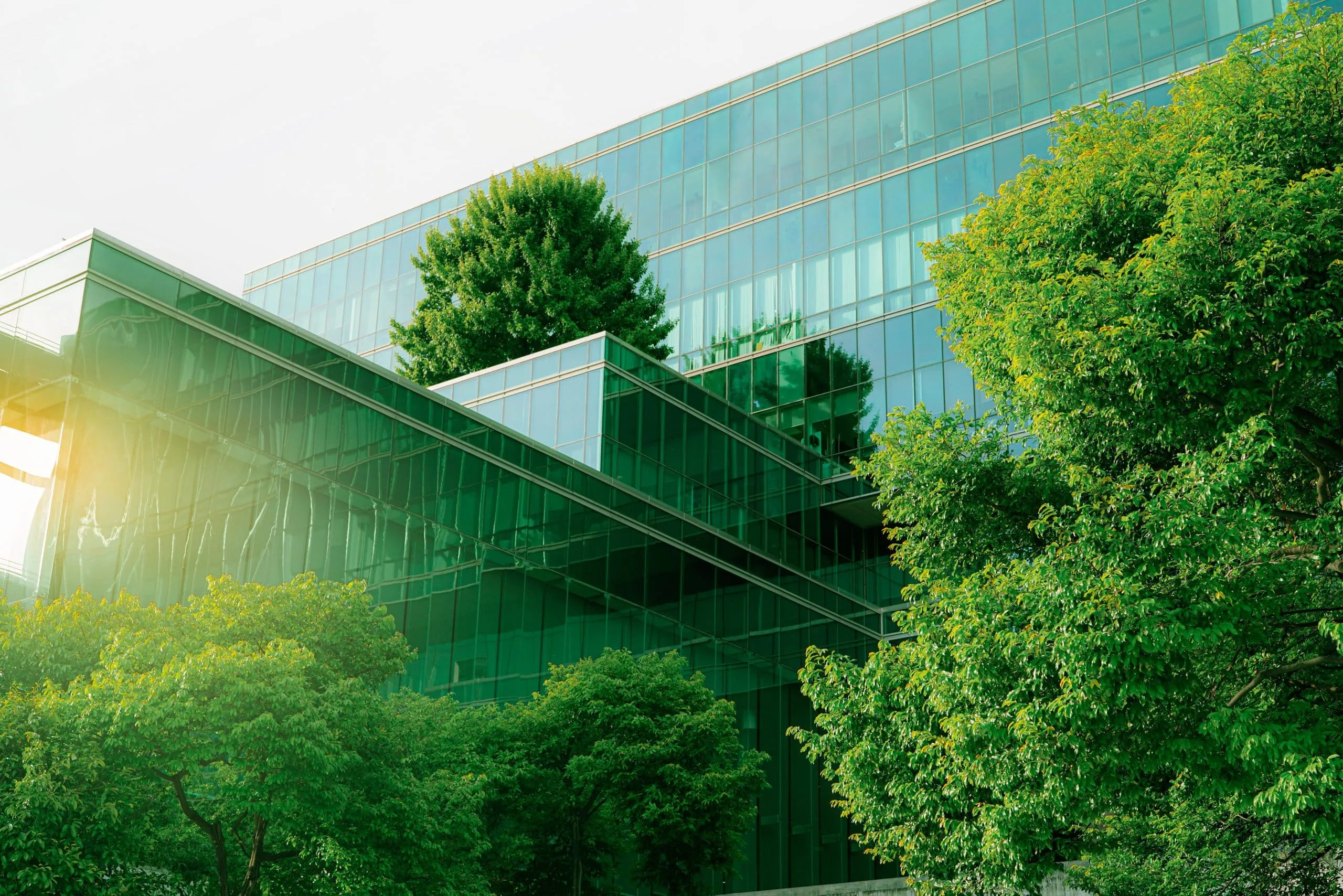 Saudi Arabia Green Construction Market Outlook to 2030 sustainble-green-building-ecofriendly-building-sustainable-glass-office-building-with-tree-1-scaled