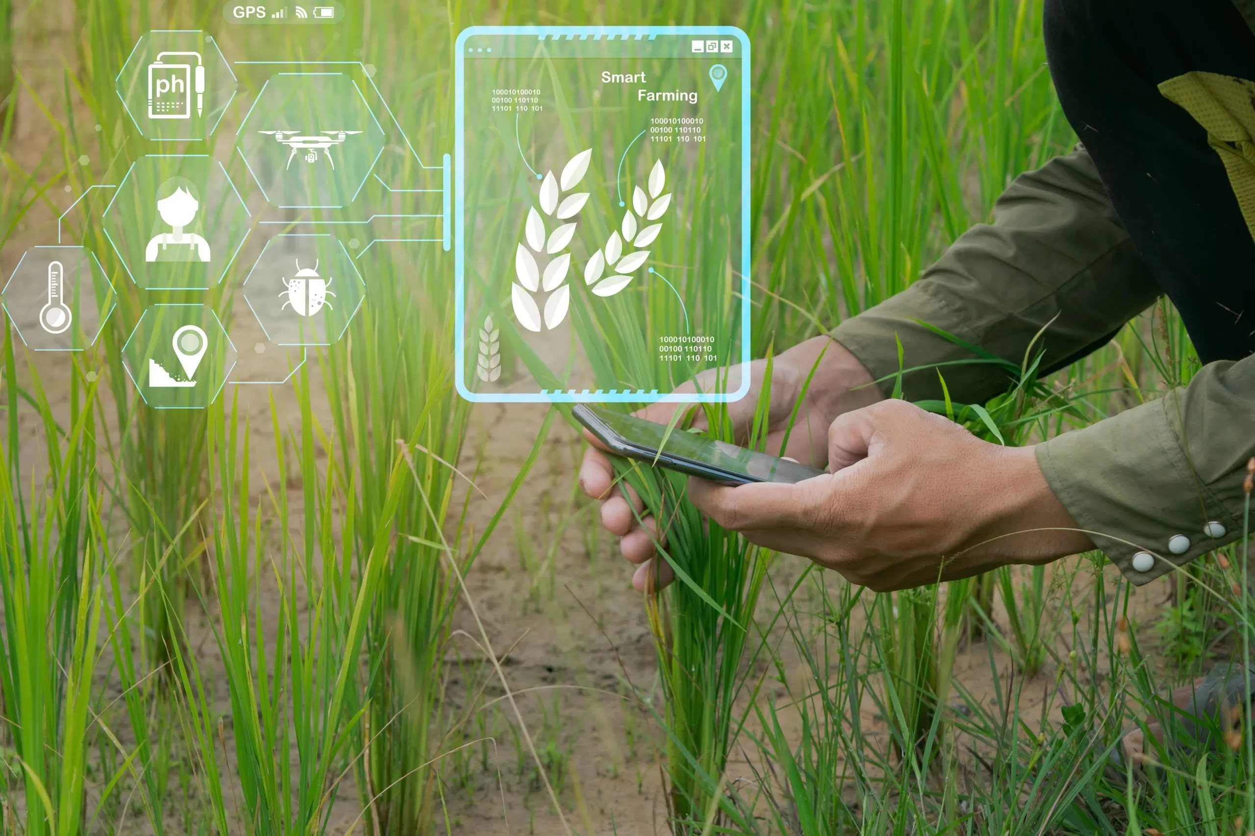 India Agritech Market Outlook to 2030 India-Agritech-Market-scaled