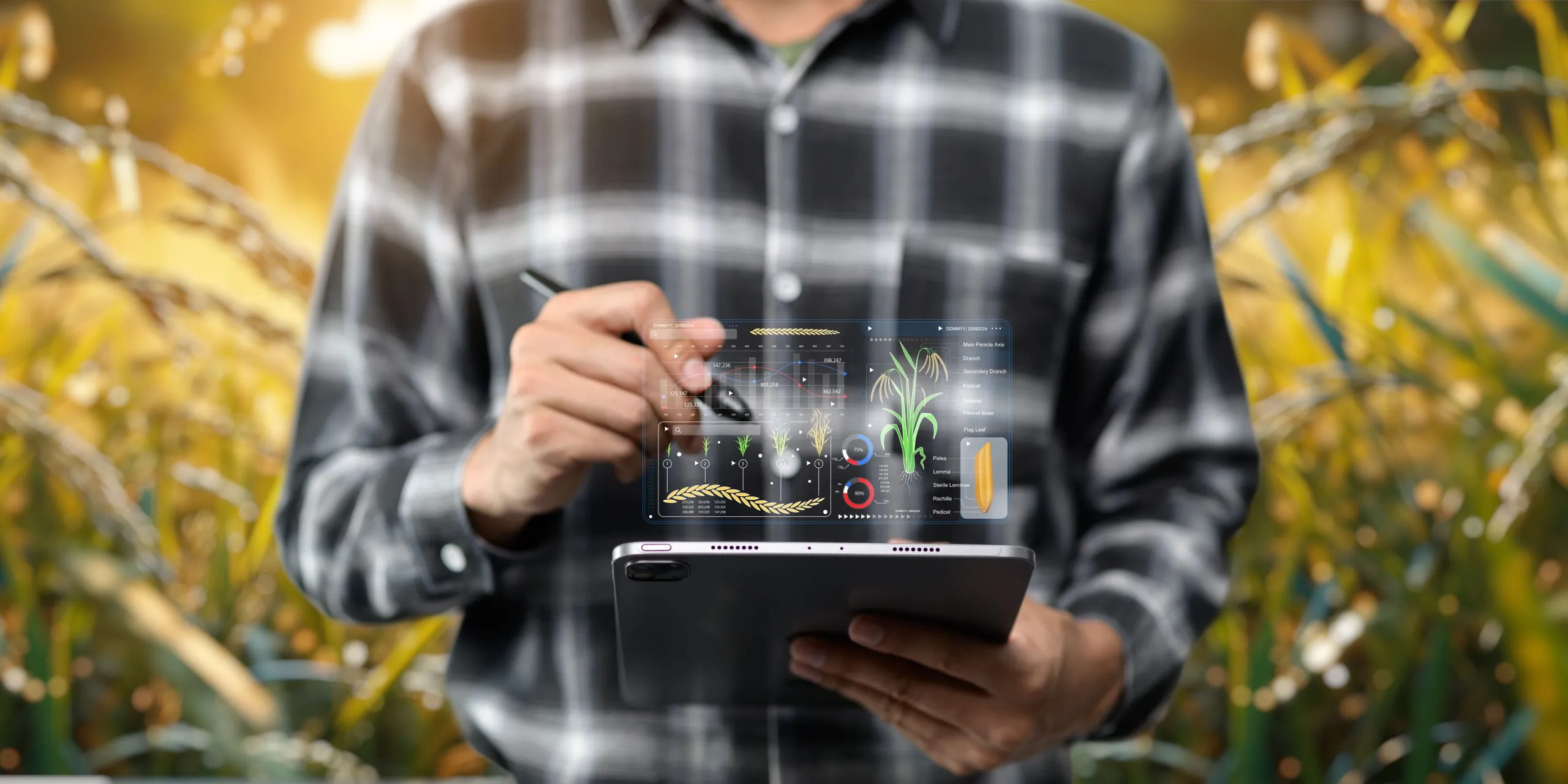 Lessons From Global Agriculture Supply Chains Through Nexdigm’s Benchmarking Framework agriculture-supply-chain-benchmarking-scaled