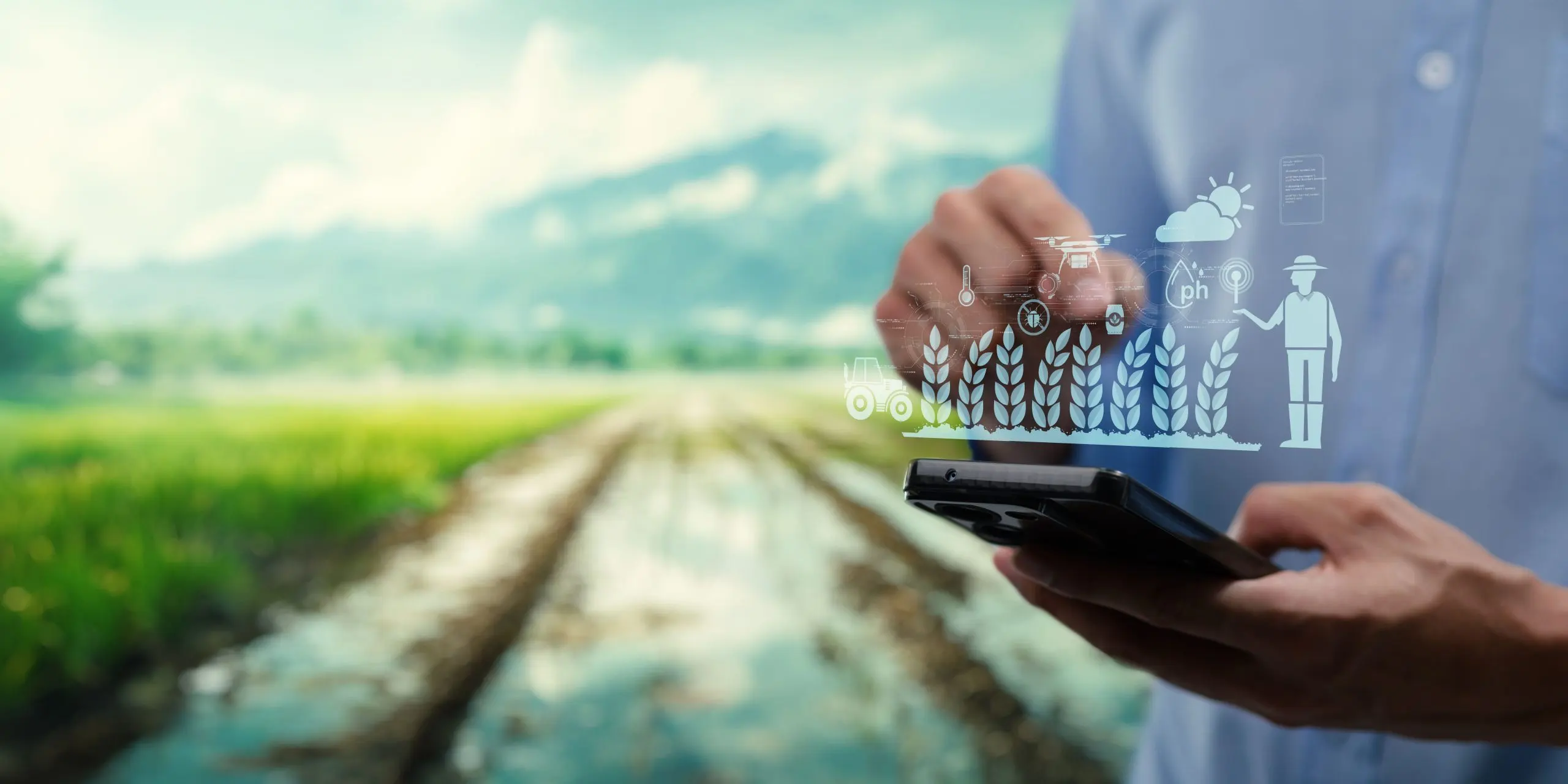Building Globally Competitive Agribusinesses Through Strategic Benchmarking Frameworks agri-tech-strategy-benchmarking-frameworks-scaled