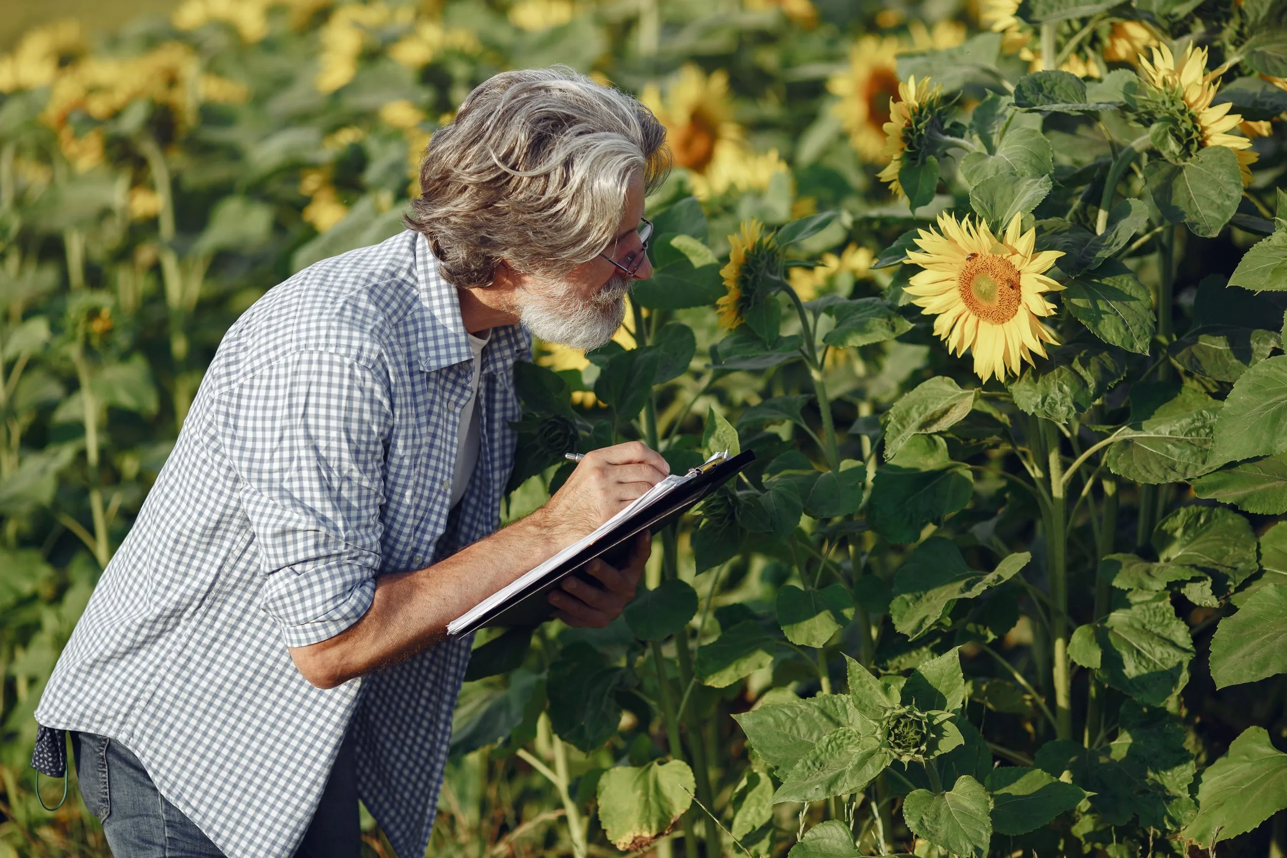 Global Agriculture Strategic Benchmarking Consulting for Competitive Growth and Cross-Market Alignment global-agriculture-strategic-benchmarking-consulting-scaled