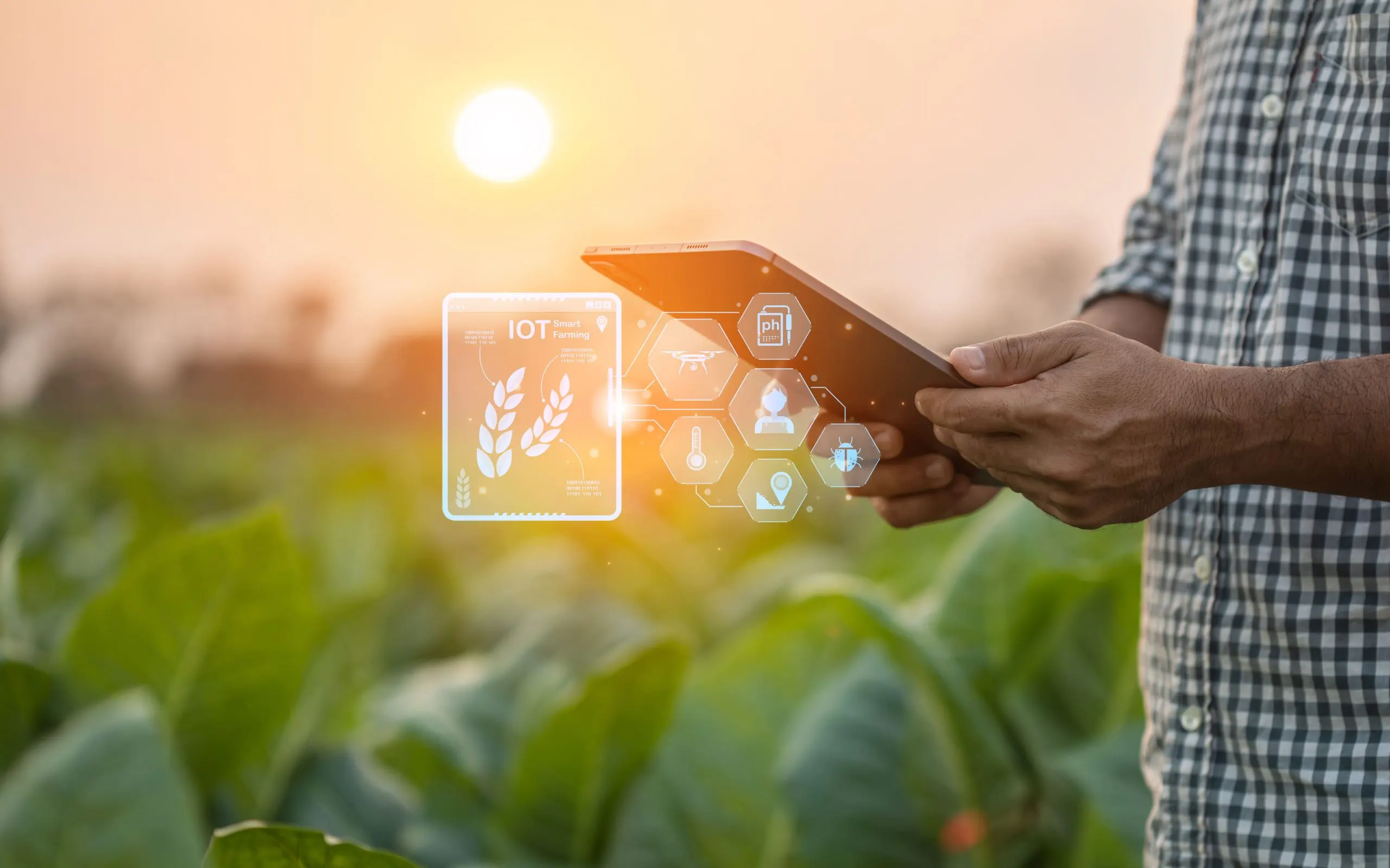 Integrating Smart Tech and Process KPIs in Smart Farming Operational Benchmarking smart-farming-operational-benchmarking-tools-scaled